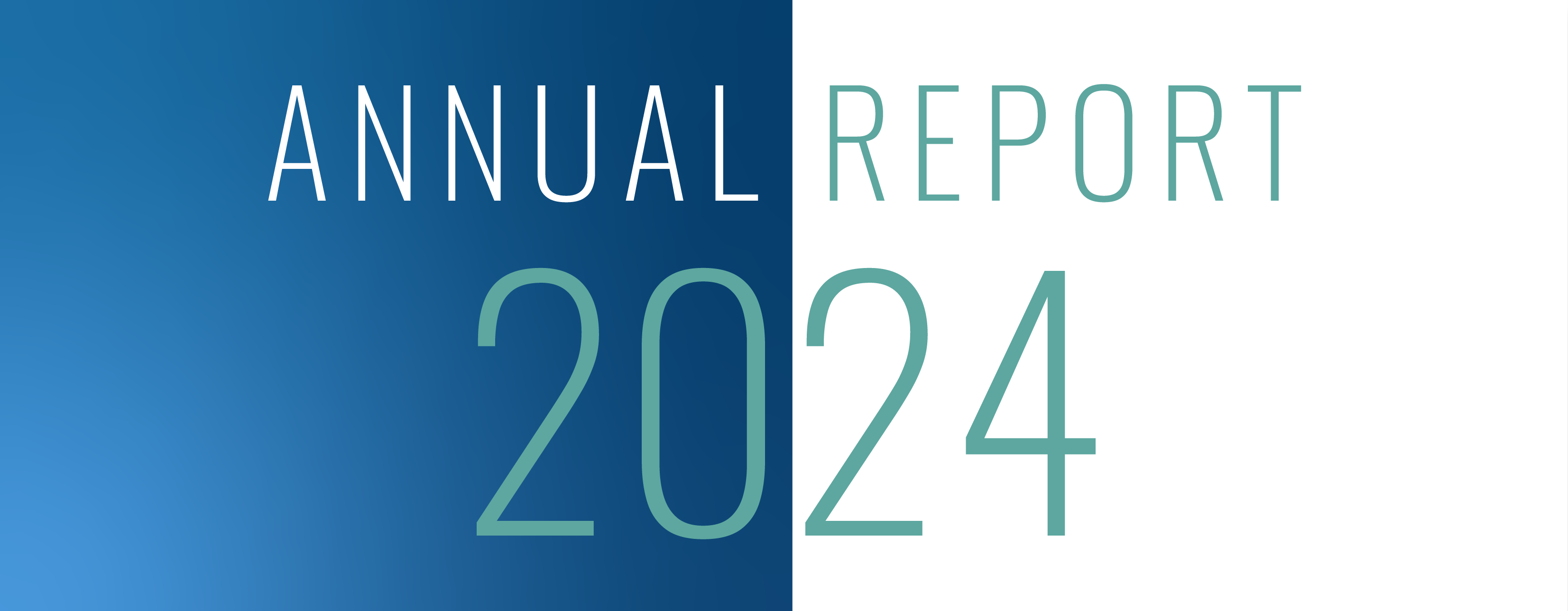 Annual Report 2024