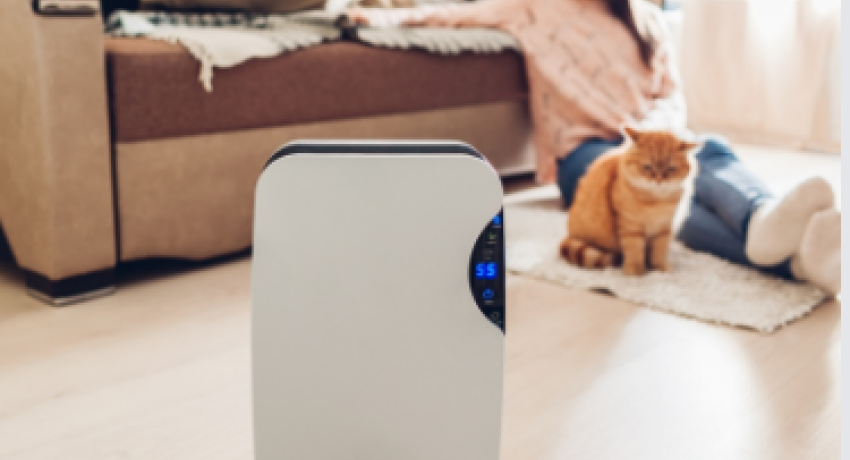 Couple and cat looking at dehumidifier