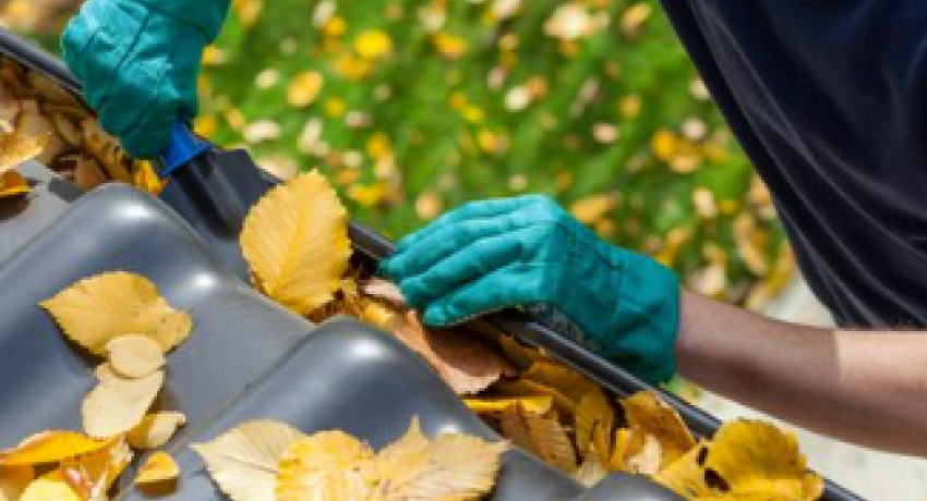 Photo of gloved hands, cleaning out leaves from gutters
