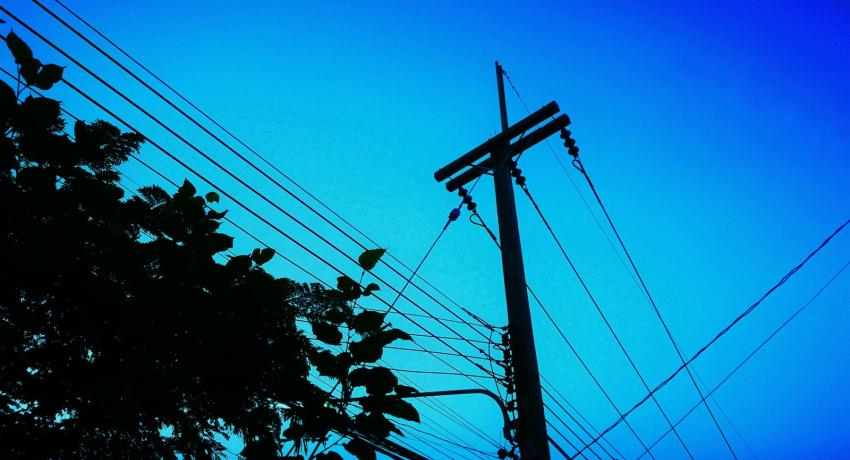 powerlines by tree limbs