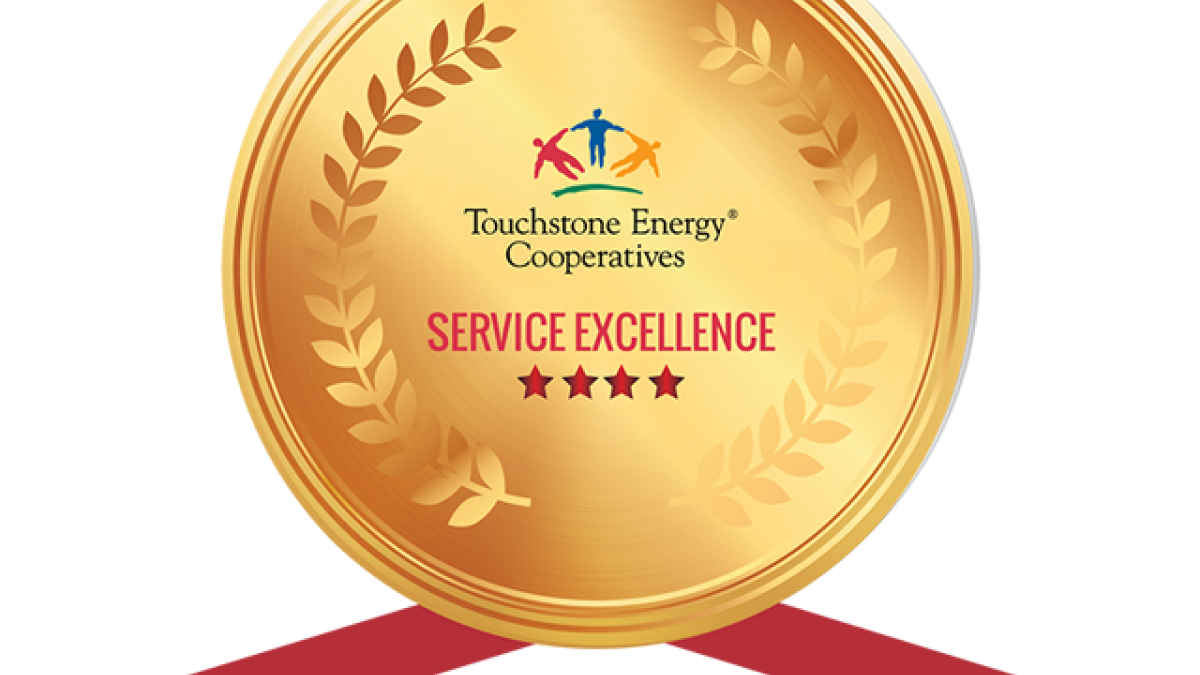 Touchstone Energy Service Excellence Badge