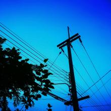 powerlines by tree limbs